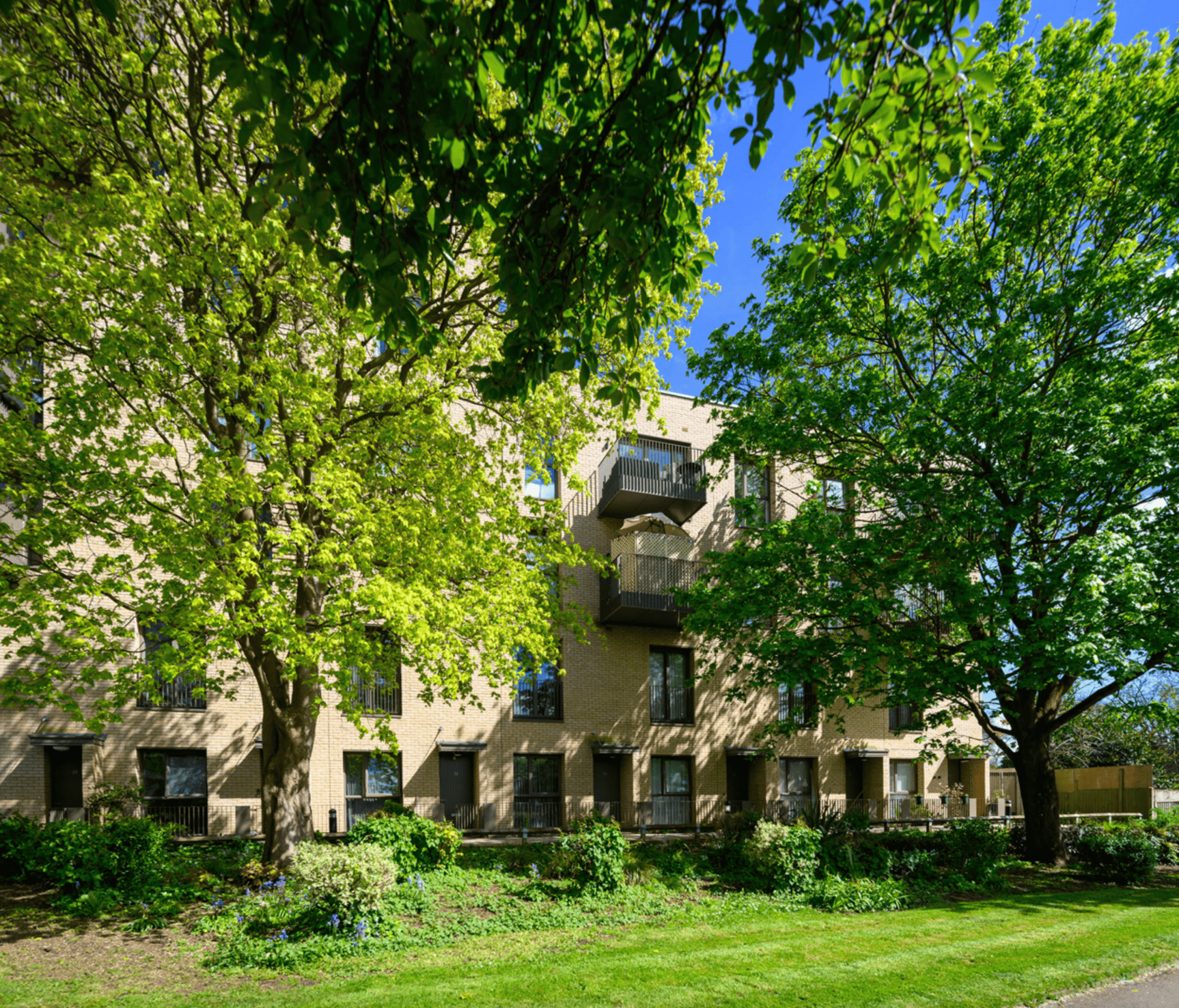 Lampside Parkside photo 3